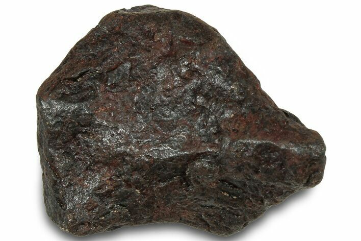 Canyon Diablo Iron Meteorite ( g) - Arizona #319651